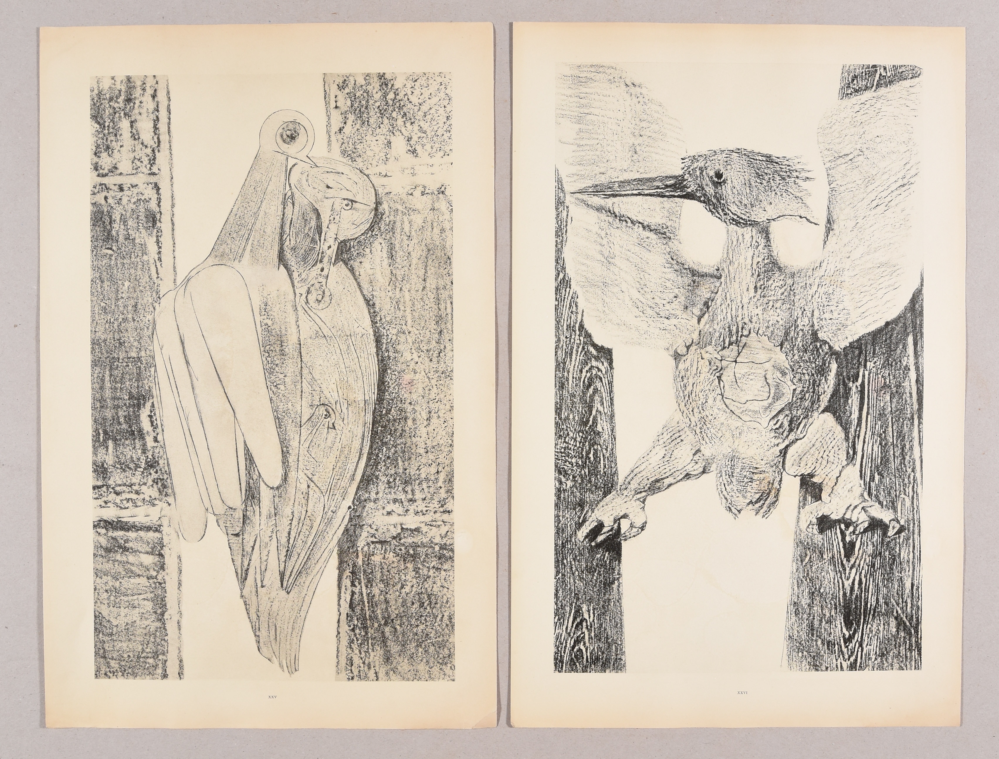 Max Ernst | Histoire naturelle. (1926) | MutualArt