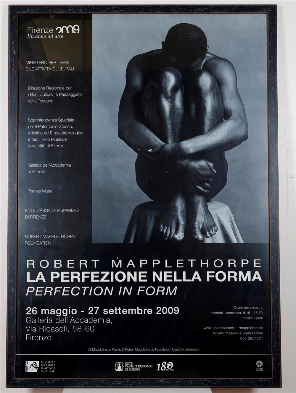 メイプルソープ　Mapplethorpe Perfection in Form Robert Mapplethorpe | Perfection in Form | MutualArt