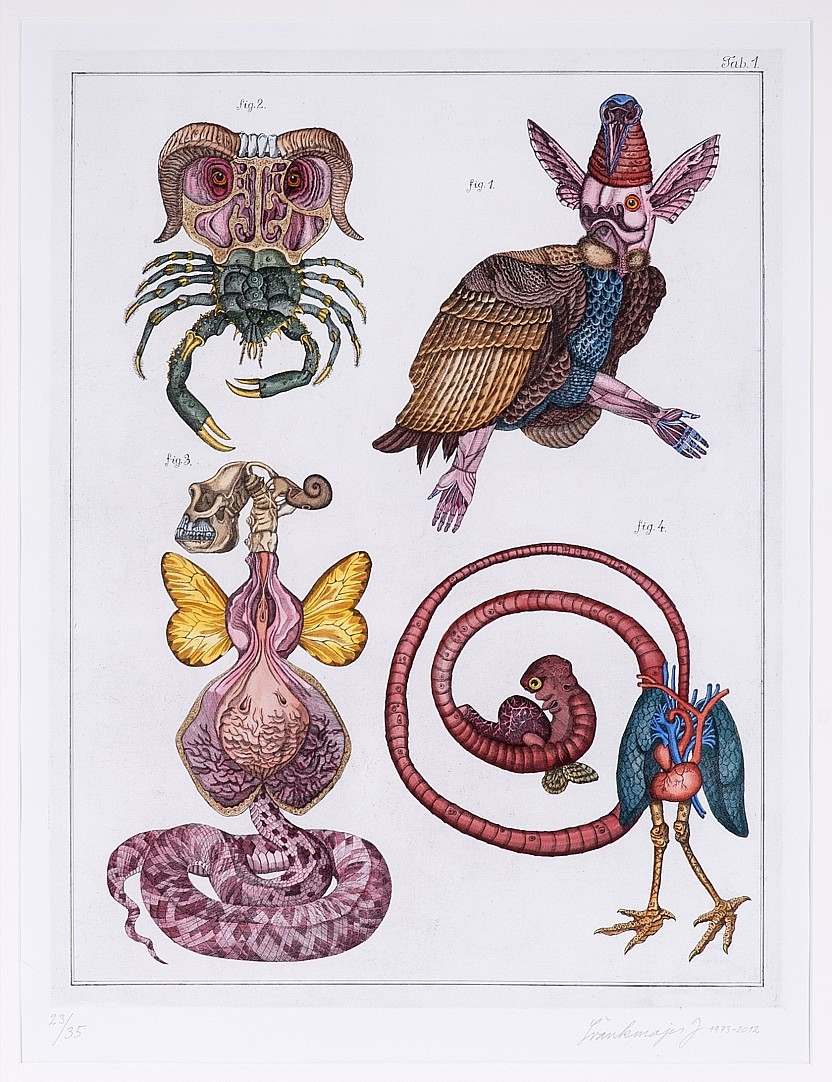 jan-svankmajer-prirodopis-c--1