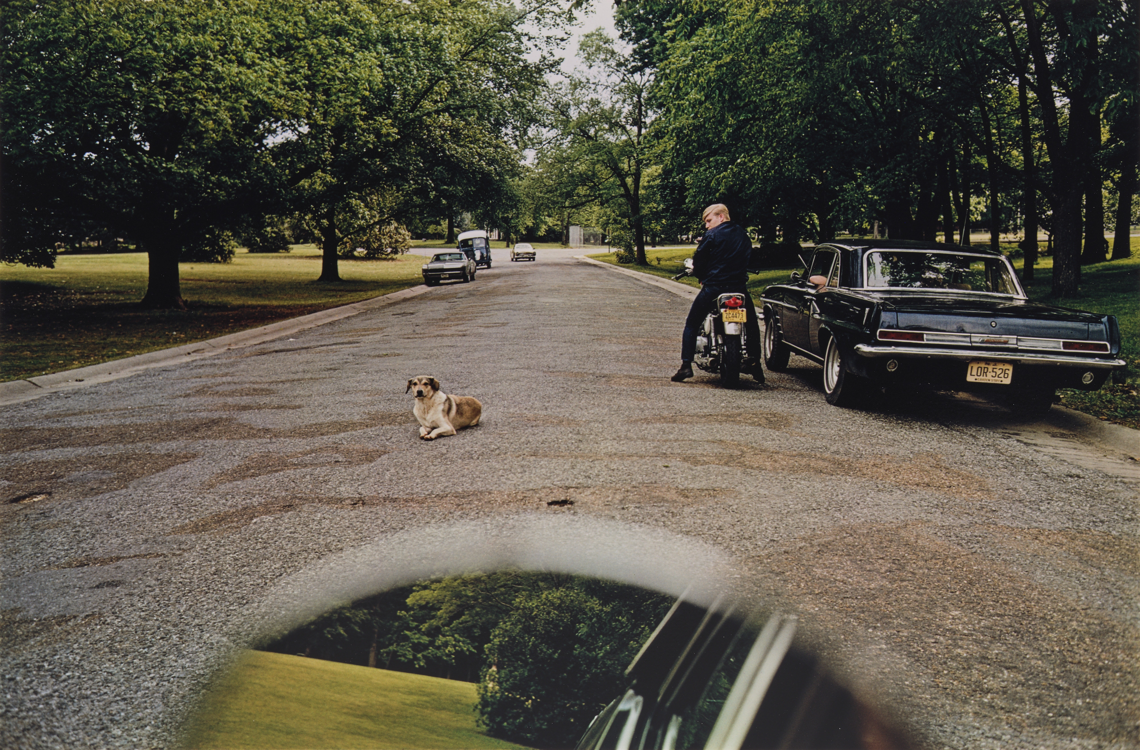 william-eggleston-william-