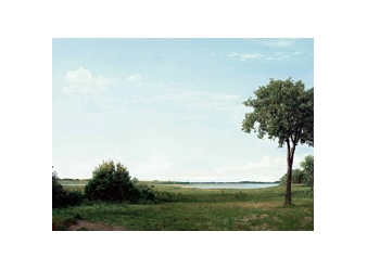 Beate Gütschow: LS/S - MoCP, Museum of Contemporary Photography