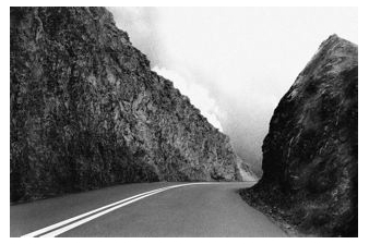 Abbas Kiarostami Photographs and Film - Somerville Manning Gallery