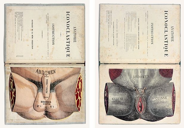 Artwork by Arnaud Maggs, l'Origine du monde