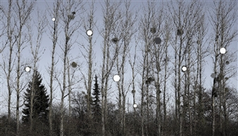 Mistelpartition - Su-Mei Tse