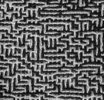 Big Maze:  Four Square Centimeters - Lia Cook