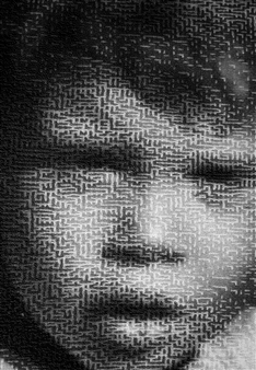 Mazed Remazed - Lia Cook