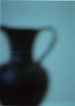 Beak Pitcher (Heart Pitcher) - Seton Smith