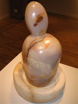 Cactus - Judy Robins