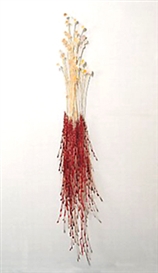 Katy Stone (American, 1969)
