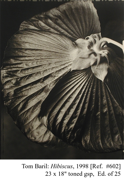 Tom Baril ☆I MAGAZINE☆希少 【公式通販】