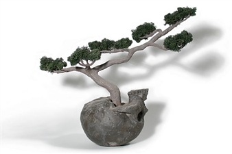 Bonsai with Skull - Jason Clay Lewis