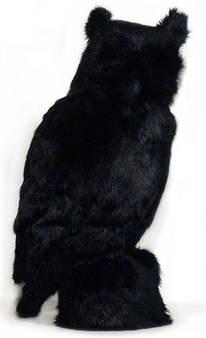 Fur Owl - Jason Clay Lewis