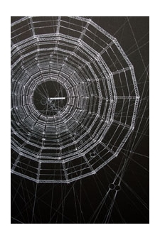 Propositions for Cities - Seven Seven Contemporary Art