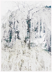 Mario Ambrosius | Ma Poupee Japonaise #15 (2000) | MutualArt