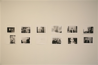 Untitled (David Wojnarowicz project) - Emily Roysdon