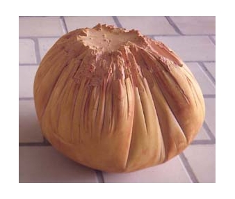 No title (molote) - Olga Adelantado