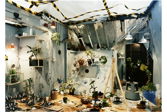 ANNE HARDY - Bellwether