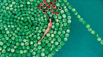 Projects 87: Sigalit Landau - MoMA, The Museum of Modern Art