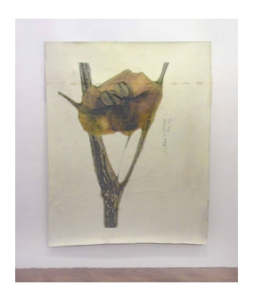 O.T. (aus: Herbarium) - Rolf Graf