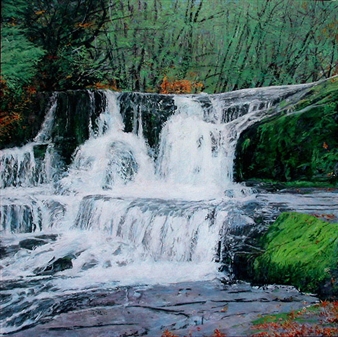 Alsea Falls, Oregon - David Suhler