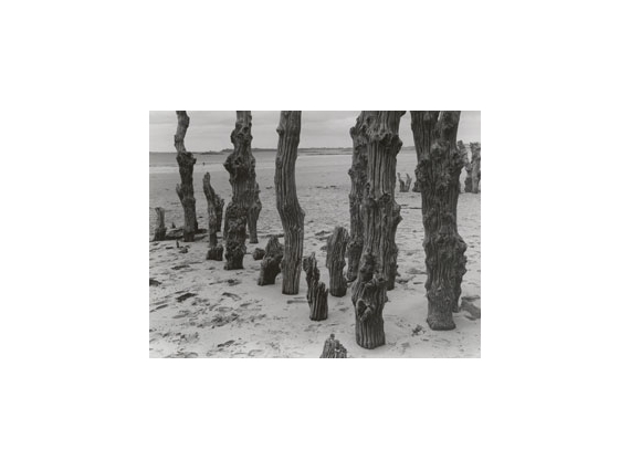 From Any Angle: Photographs... | Exhibitions | MutualArt