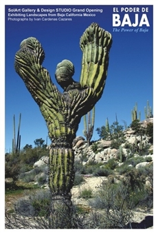 El Poder de Baja - SolArt Gallery & Design