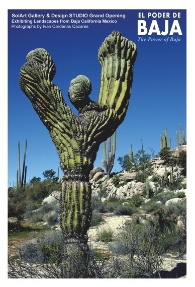 El Poder de Baja - SolArt Gallery & Design