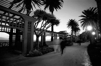 Palisades Park Light  - Helen K. Garber