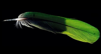 Untitled - Lawrence Leissner