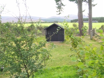 Self Portrait in Retrospect - Sera Irvine