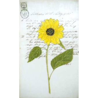 Sunflower - Kenna Moser