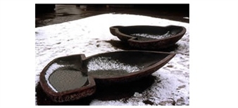 Catch - Nicholas Kripal