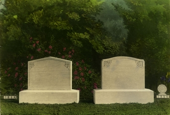 IF LOVE COULD HAVE SAVED YOU, YOU WOULD HAVE LIVED FOREVER - Bellwether