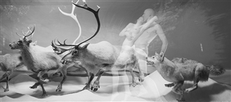 Oleg Kulik. New Paradise - Leonhard Ruethmueller / Contemporary Art