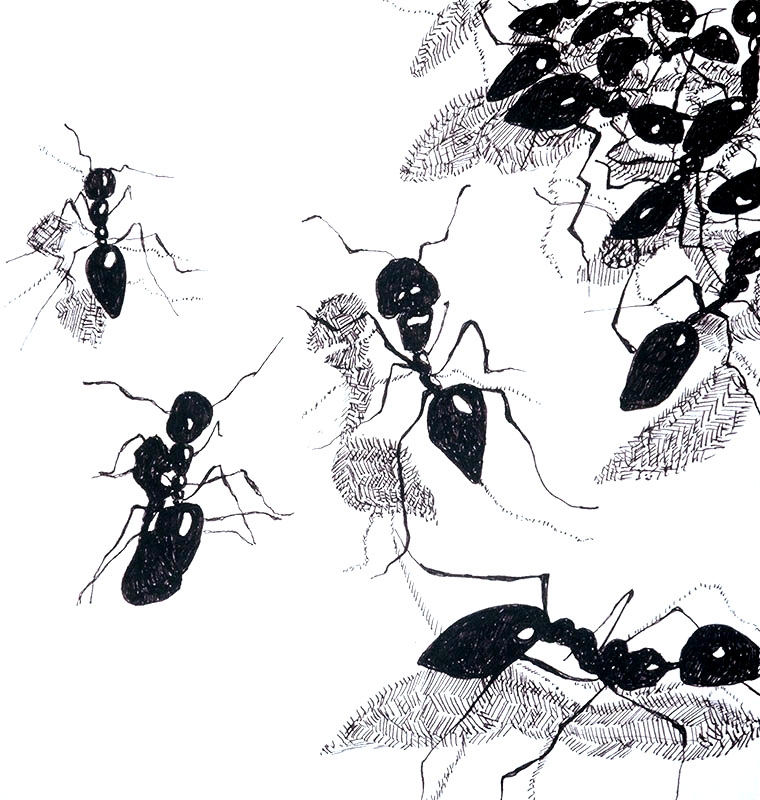 Artwork by Jill Hotchkiss, untitled