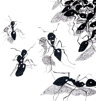 untitled - Jill Hotchkiss