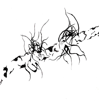 untitled - Jill Hotchkiss