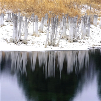 Summer rotation of gallery artists - Diane Farris Gallery