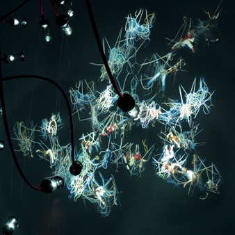 Daniel Canogar "Tangle" - Mimmo Scognamiglio Artecontemporanea