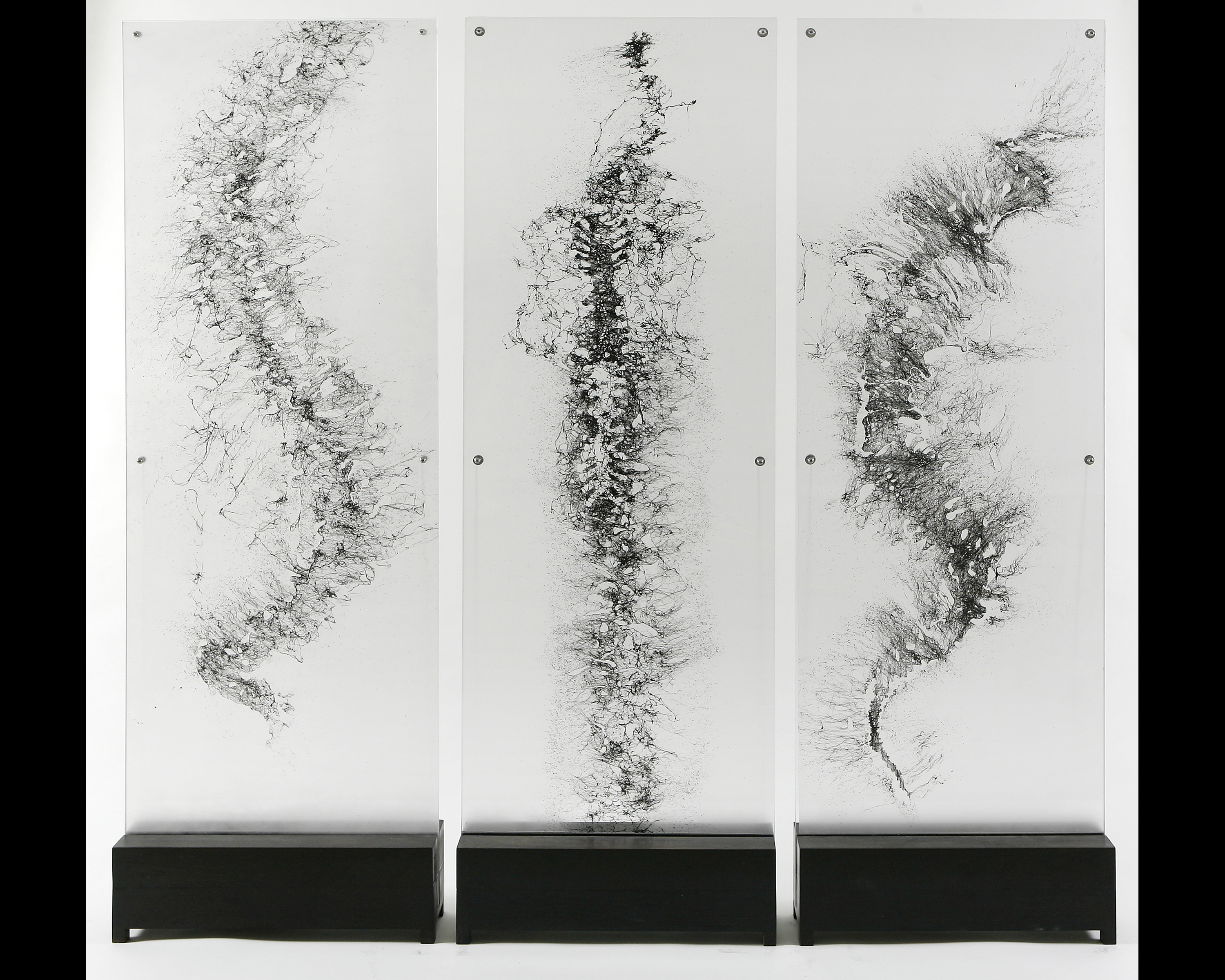 Artwork by Hugo Moro, untitled