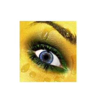 Michael Thompson 2008 - Hasted Kraeutler