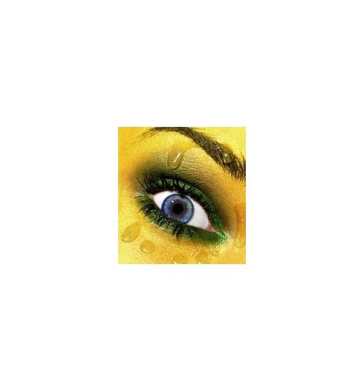 Michael Thompson 2008 - Hasted Kraeutler