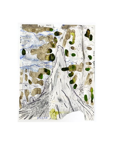 William Pope.L | Exhibitions | MutualArt