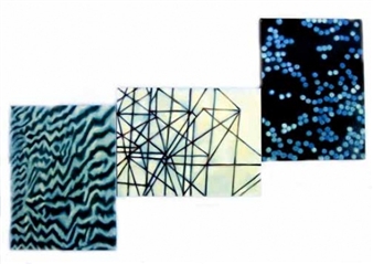 Secret Language - Trine Bumiller