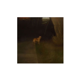 Juan Andres Videla ()