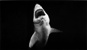Robert Longo: “nights bright days” - Margo Leavin Gallery
