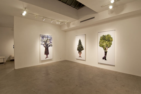 Annie Buckley - Carl Berg Gallery