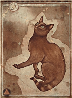 Celestial Menagerie - Davidson Contemporary
