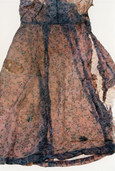 Miyako Ishiuchi solo exhibition - Zeit-Foto Salon