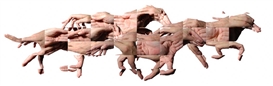 Hands